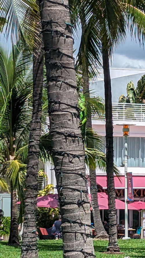 MIA_2023-08-16 11-48-59_PXL_20230816_154859107